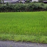 滋賀県湖南市田園