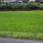 滋賀県湖南市田園