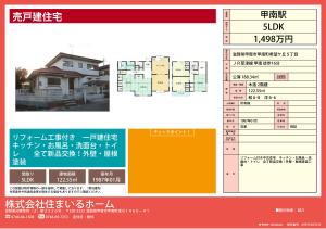 info_sheet_01